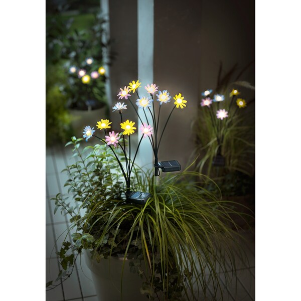 Productvoorbeeld 2