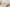 Kinderbett Hausbett "Kay" 100x200 inkl. Schubkästen Kiefer natur
