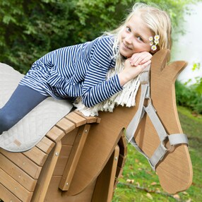 Accessoires Set Decke und Halfter roba Style grau 