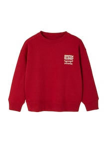 Jungen Sweatshirt BASIC