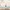 Kinder Teppich Maui Kids Safari Tiere Bunt Rund