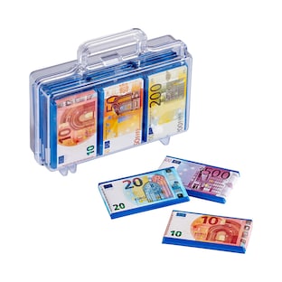 Koffertje met eurobiljetten, 112,5 g