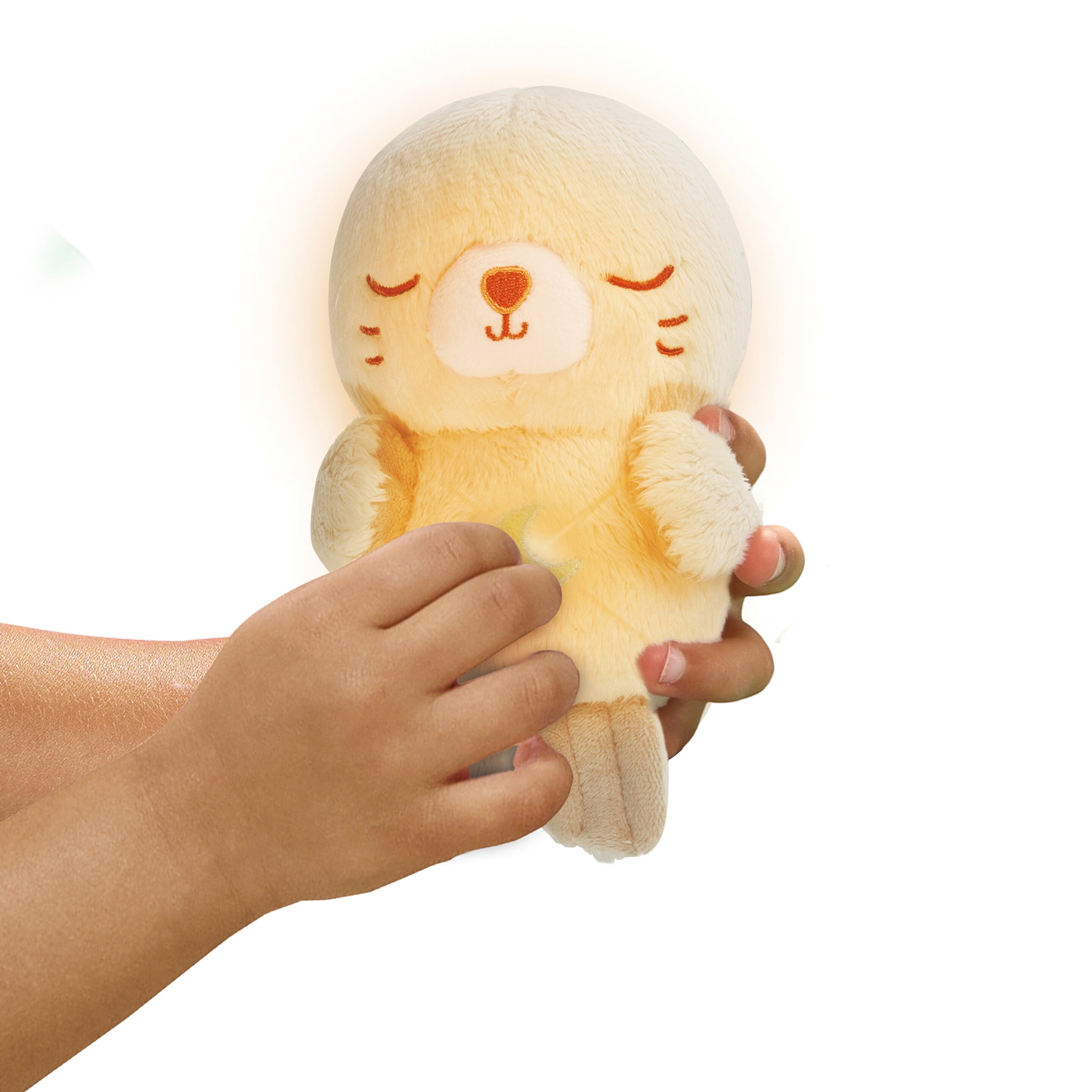 Kuscheltier Kuschel-Robbi