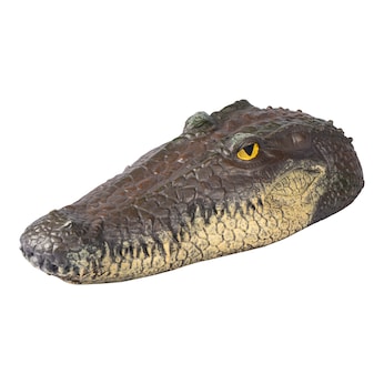 Crocodile flottant