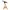 Babywippe Highchair Bouncer 3in1