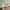 Abdruckbild Gipsabdruck Komplettset