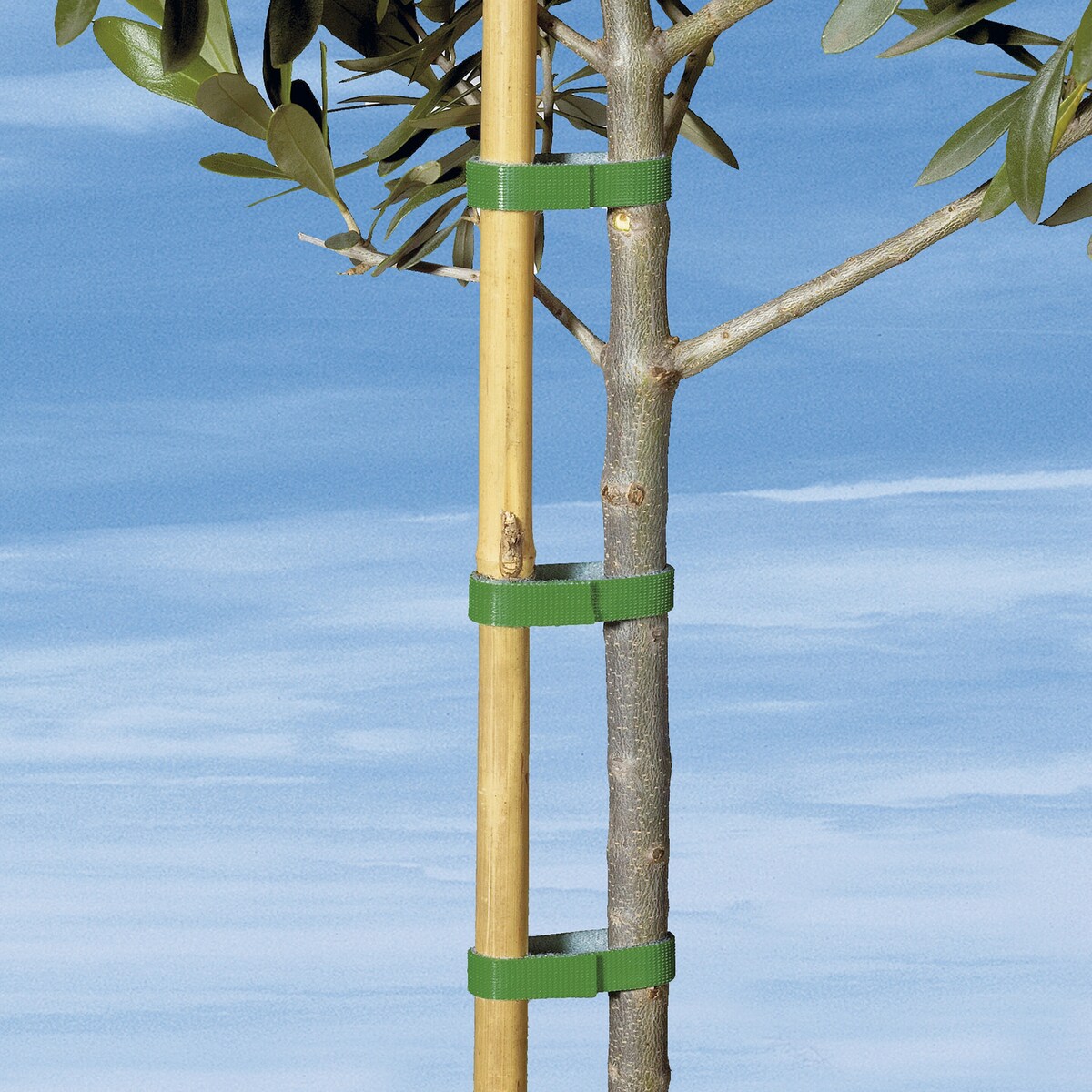 Produktbild 2
