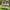 Matschküche Mud Starter