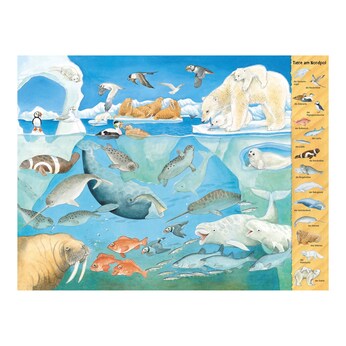 Das Riesen-Tiere-Wimmelbuch