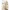 Sommerschlafsack 0.3 TOG