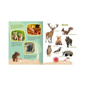 Soundbilderbuch Mein großes Buch der Tiergeräusche