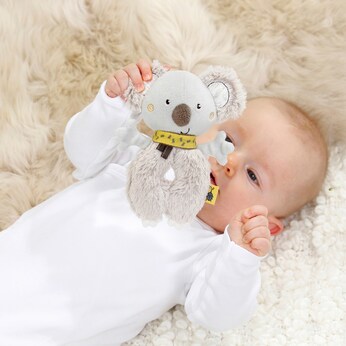 Ring-Greifling Koala Australia