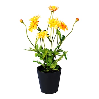 Kunst-Chrysantheme