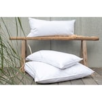 Feder-Daunen Kopfkissen "Zirbe"