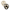2er-Pack Polka Collection Schnuller Latex, 0-6M