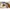 3er-Pack Wickelbodys langarm Bakery Ringel