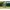 Wassersprinkler Maulwurf Moli