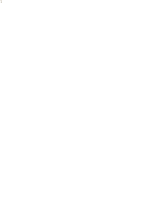 Still t-shirt Ifke