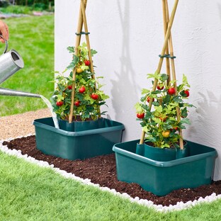 Bac de plantation spécial tomates