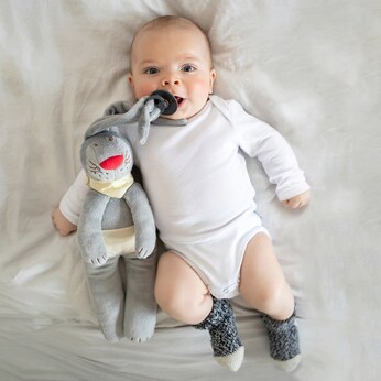 Kuscheltier Schnullerhase