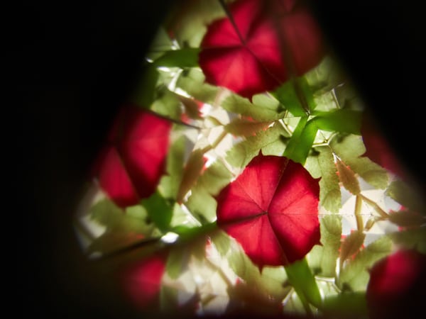 Produktvorschaubild 6