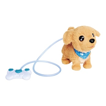 Loomy - Golden Retriever 