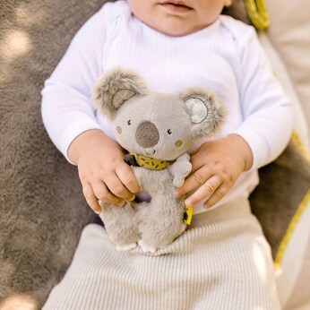 Ring-Greifling Koala Australia