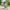 Kinderfahrrad Petitage 14 Zoll