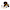 Kuscheltier Haustier Set Hund