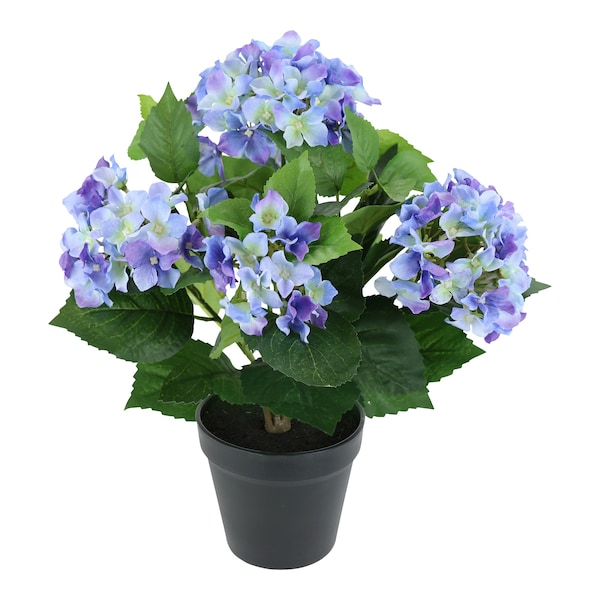 blauw