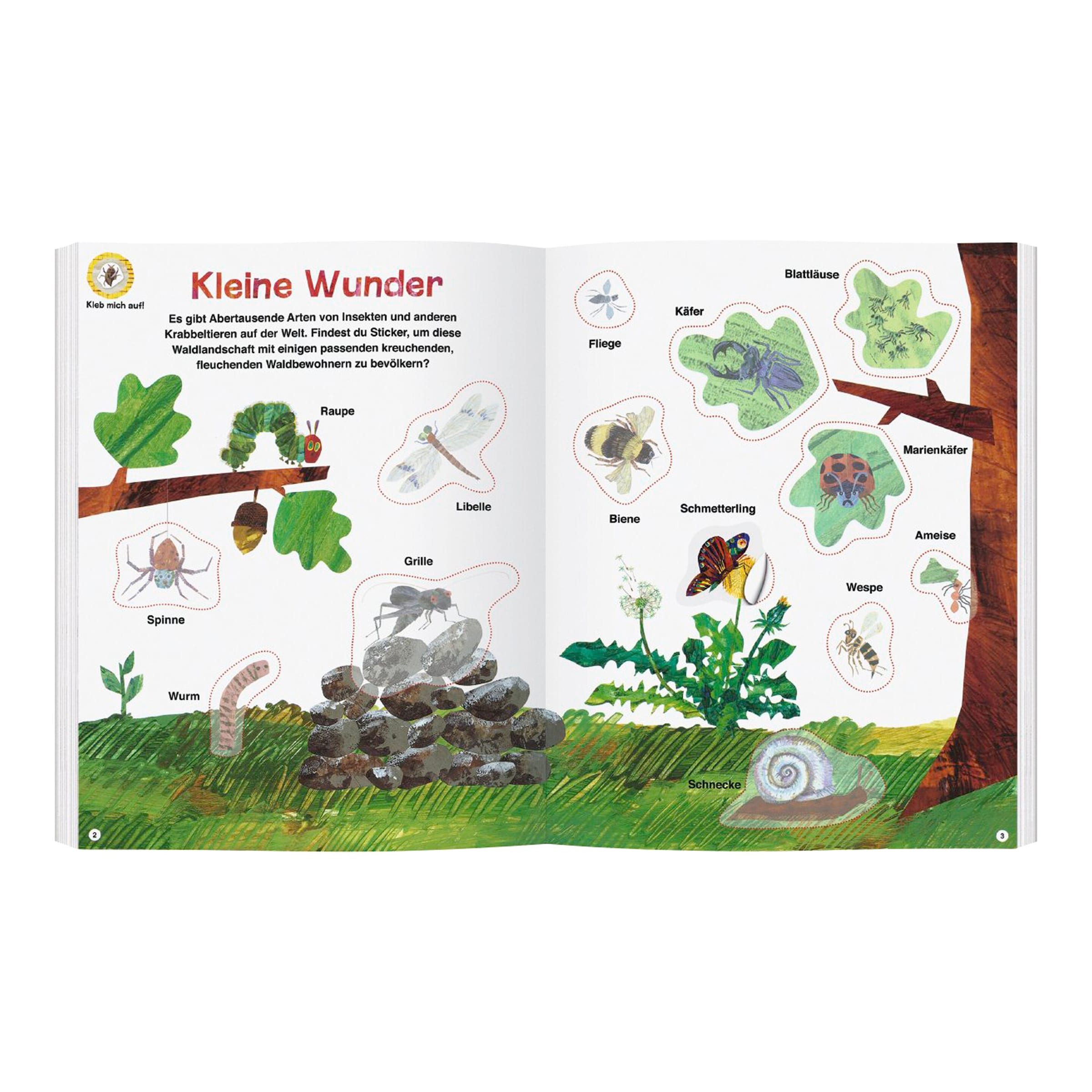 Gerstenberg Verlag Die Kleine Raupe Nimmersatt Mein Buch der Krabbeltiere - Die kleine Raupe Nimmersatt