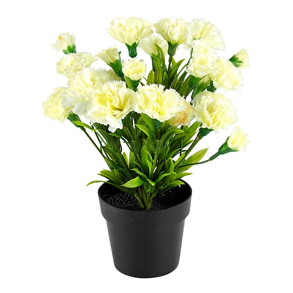 Produktvorschaubild 1