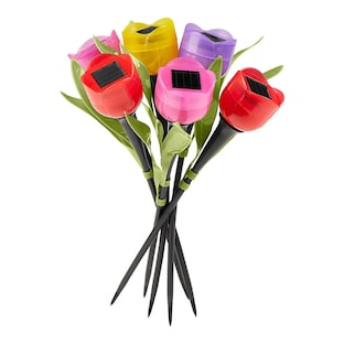 Tulipes solaires colorées, 6 pièces