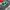 Dekokissen inkl Füllung, Creeper, Samt Minecraft 