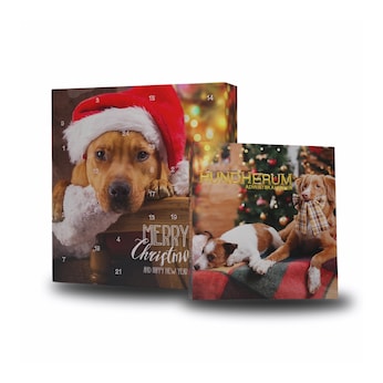 Hunde Adventskalender "Hundherum"