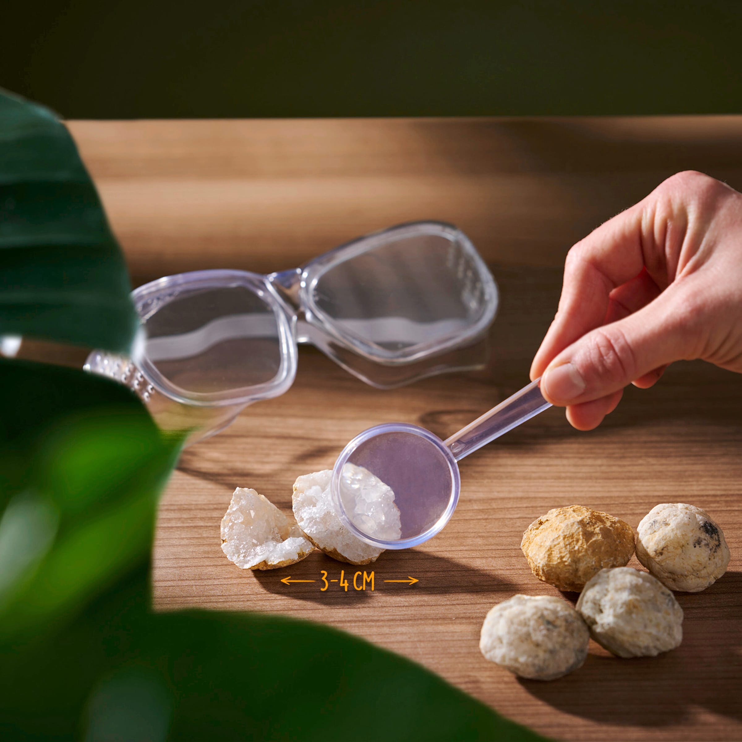 Scout Geoden 5 Stück + Taschenmikroskop