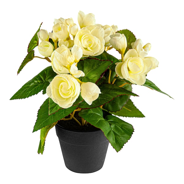 Produktvorschaubild 1