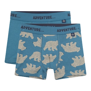 2er-Pack Boxershorts Eisbären