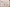 Abdruckbild Gipsabdruck Komplettset