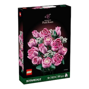 10374 Rosa Rosenstrauß