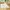 Kinder Teppich Maui Kids Safari Tiere