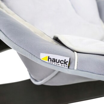 Babywippe Alpha Bouncer 2in1