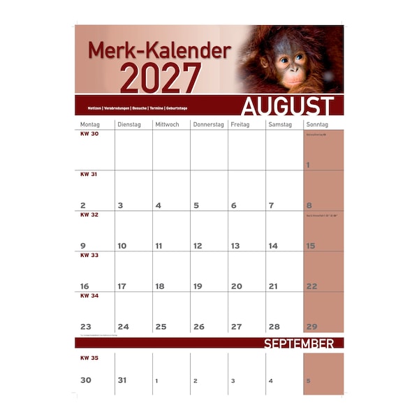 Aperçu du produit 8