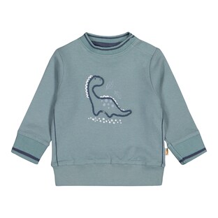 Sweatshirt Dino