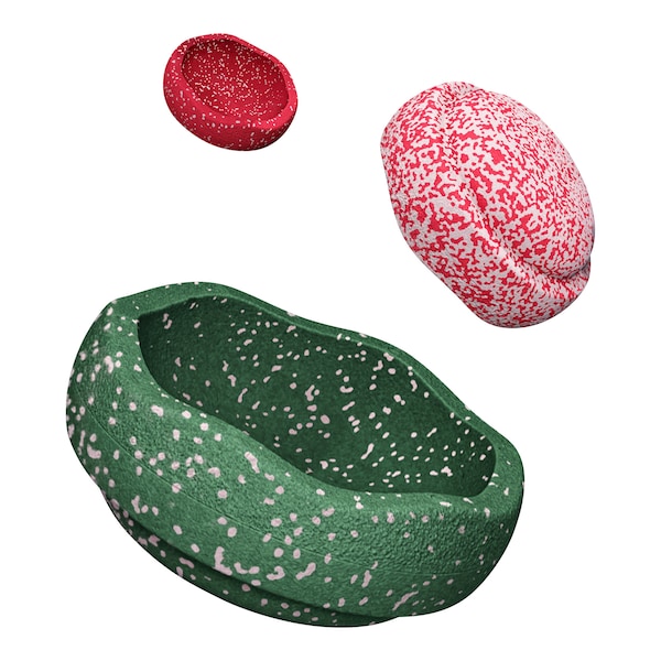 Produktvorschaubild 1