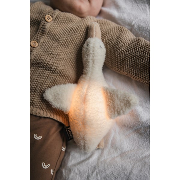 Produktvorschaubild 2