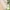 Kindersitzgarnitur Outdoor+, natur  Outdoor+