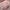 Puppen Beistellbett Einhorn
