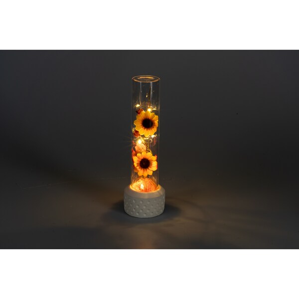 Aperçu du produit 2