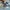 42236 Ford Mustang GT Auto aus der Tuning-Werkstatt